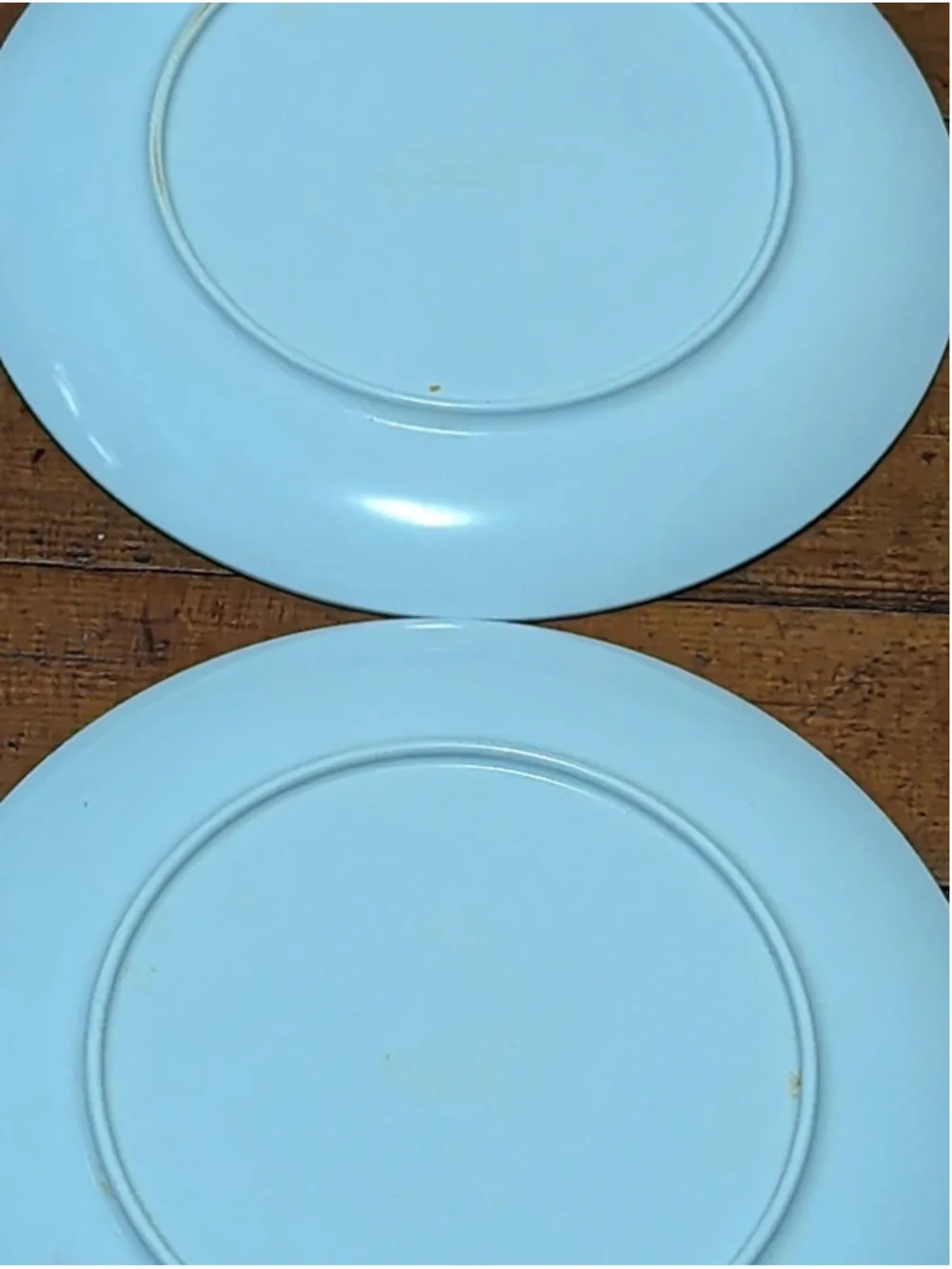 Pottery Barn School Fish Outdoor 8
